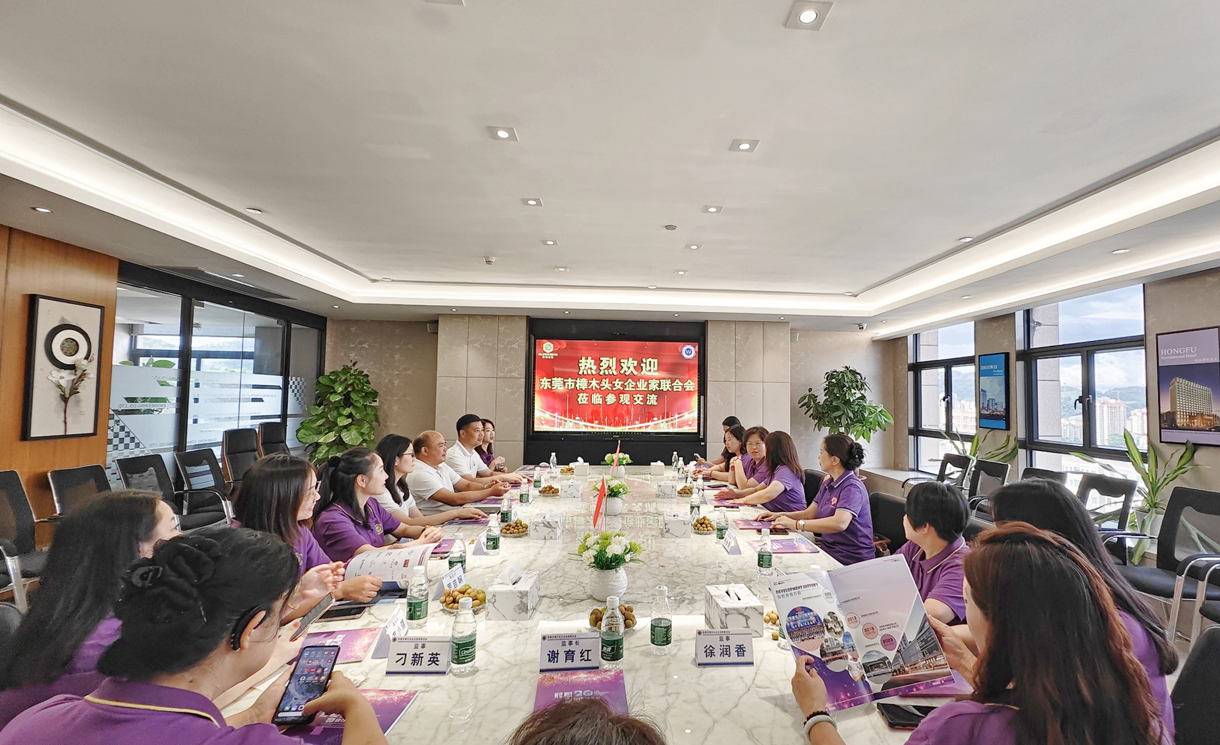 镇女企业家联合会代表来我司参观交流