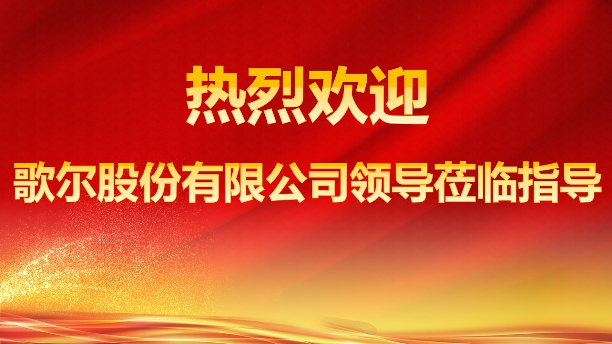 热烈欢迎歌尔股份领导莅临我