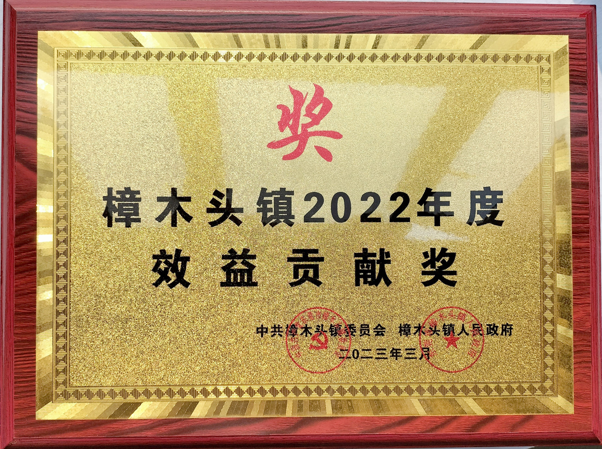 我司被评为“镇2022年度先进