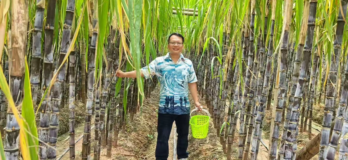 畅游万绿湖 聚力筑梦路-冠恒团建