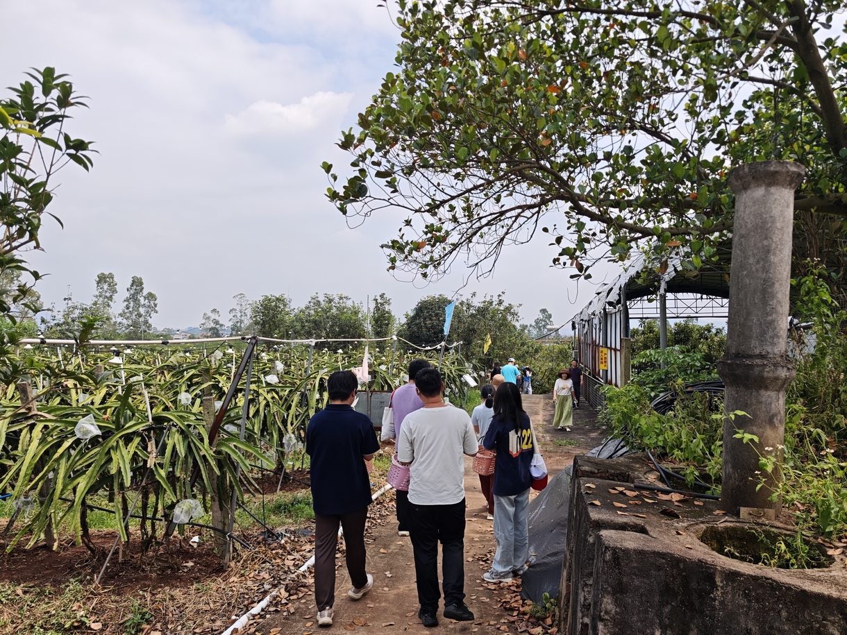 畅游万绿湖 聚力筑梦路-冠恒团建