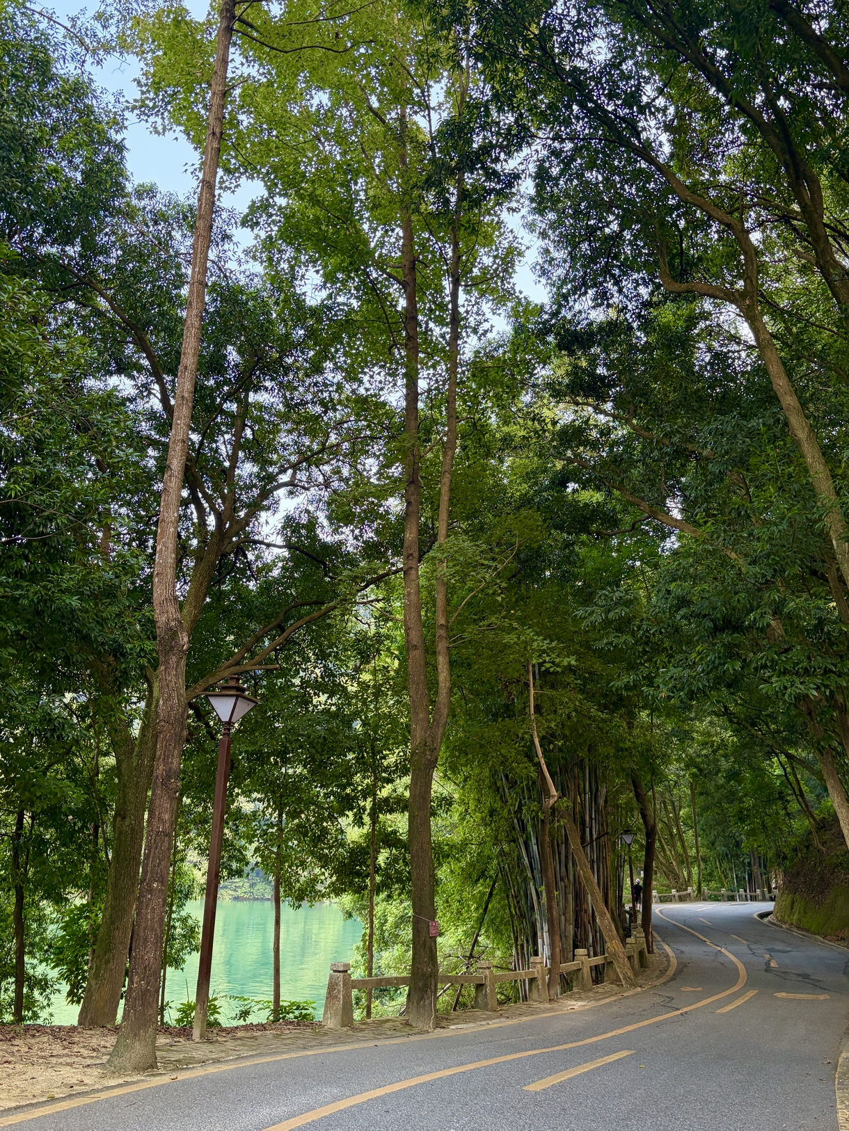 畅游万绿湖 聚力筑梦路-冠恒团建